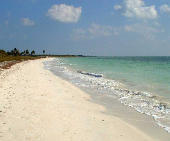 USA Florida.jpg